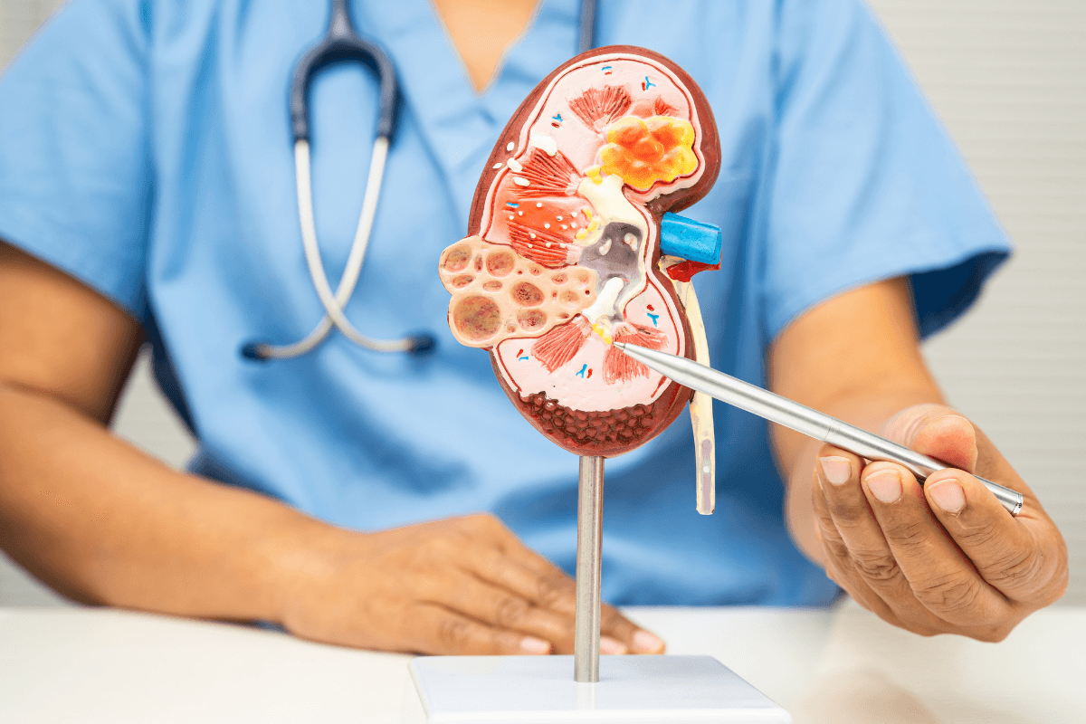 Diabetes and Kidney Damage