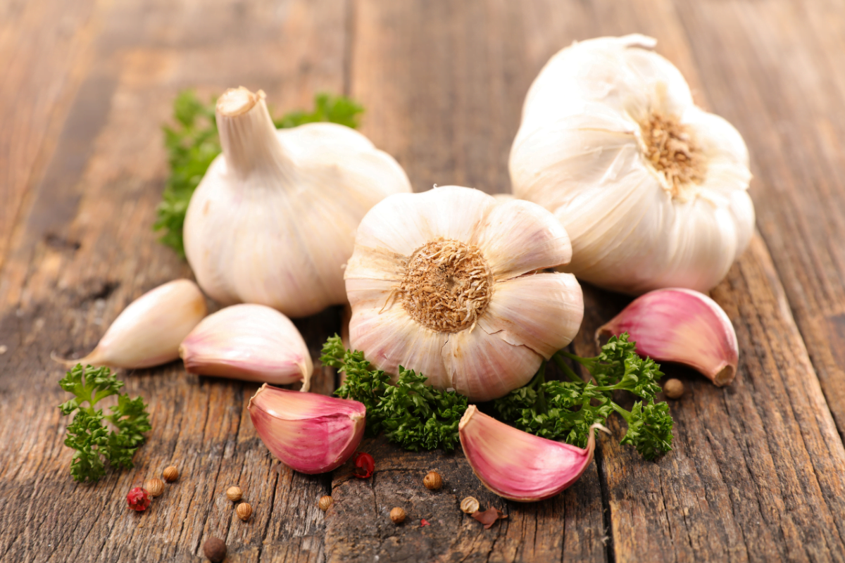 does garlic lower cholesterol