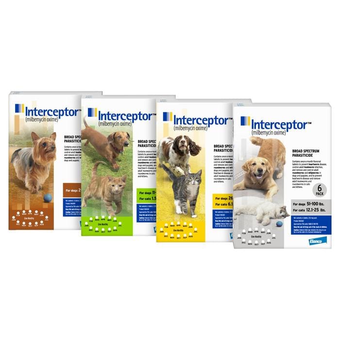 Interceptor Flavour Tabs Cats/Dogs 1 Interceptor Flavour Tabs Cats/Dogs