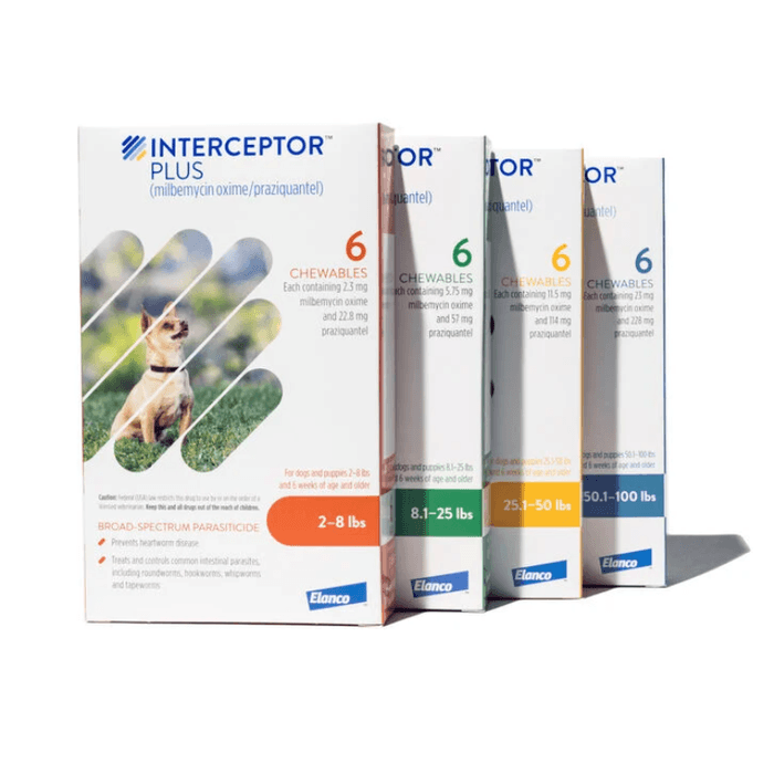 Interceptor Plus 1 Interceptor Plus