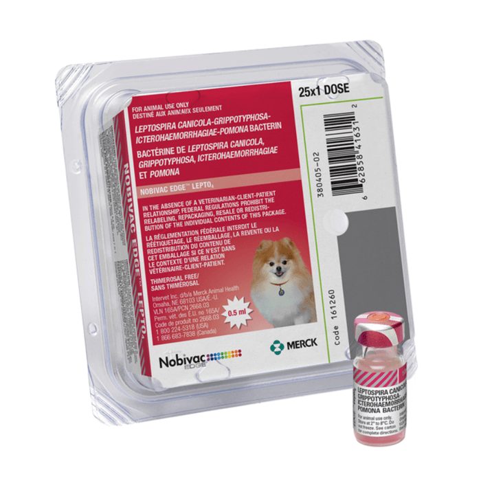 Nobivac Canine Lepto 4 1 Nobivac Canine Lepto 4
