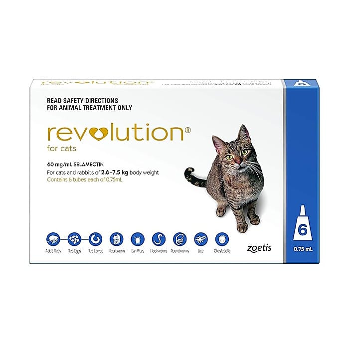 Revolution for Cat 1 Revolution for Cat